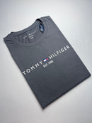 T-shirt Tommy Hilfiger Feminina - Cinza