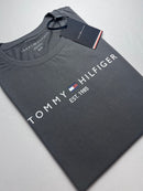 T-shirt Tommy Hilfiger Feminina - Cinza